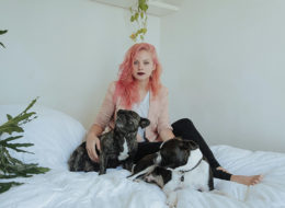 Em casa com os cães, Chico e Gaveta