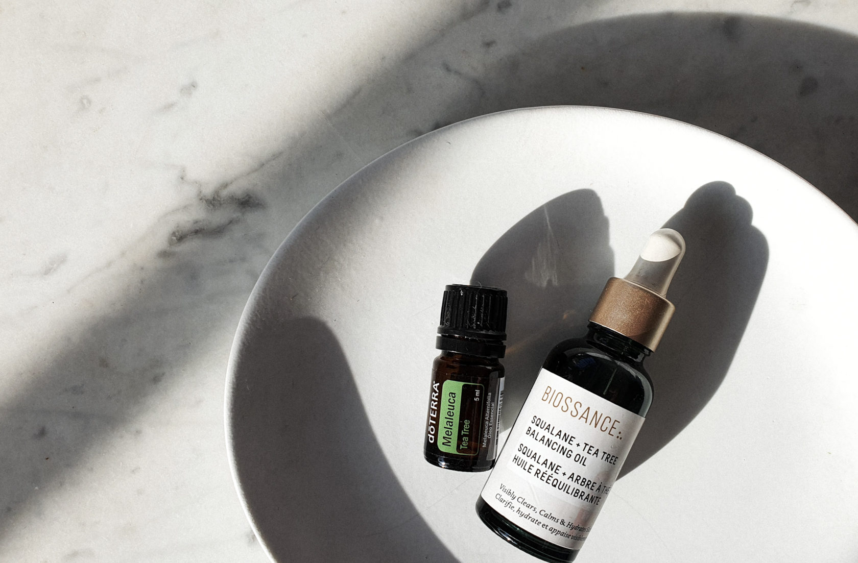 Óleo de Melaleuca pro corpo, pro rosto e pra casa!