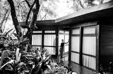 Shinrin-yoku: os benefícios de um banho de floresta (literal!)