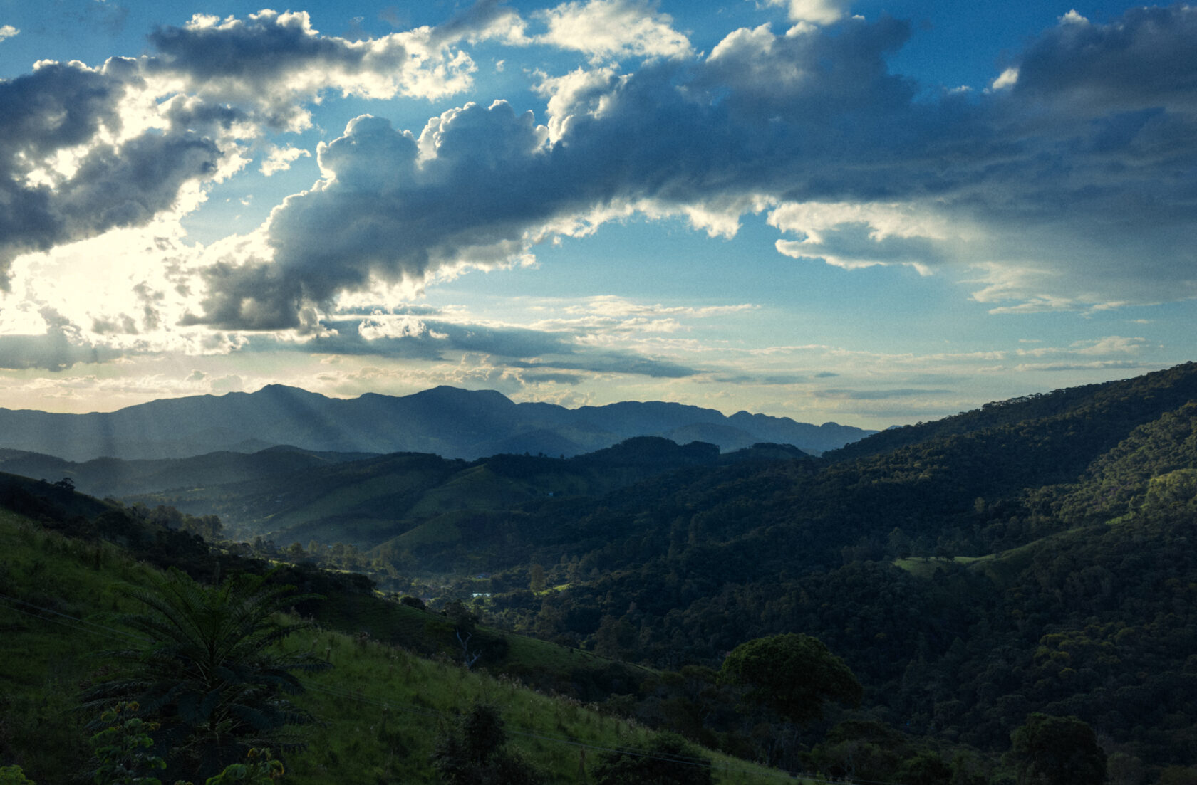 Pra relaxar os olhos (que estão mais cansados na pandemia!)